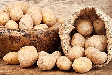 《命运》年度社区慈善活动 今年已筹集1百万美金